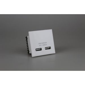 DUSBC2W Varilight DataGrid+ Double USB Charger 2100mA Module in White. Use with Varilight DataGrid Plates