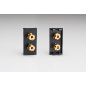 DSP2B Varilight Speaker Module in Black with 2 Binding Posts. Use with Varilight DataGrid Plates