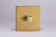 HDB0S [WDB1S + MH0] Varilight non-dimming 'Dummy' Series switch 1 Gang 0-1000 Watt Screwless Brushed Brass Effect Finish