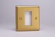 XBG1 Varilight 1 Gang Data Grid Face Plate For 1 Data Module Width Classic Brushed Brass Effect