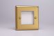 XBG2 Varilight 2 Gang Data Grid Face Plate For 2 Data Module Widths Classic Brushed Brass Effect