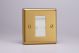 XBGBRHW Varilight 1 Gang White Data Brush Outlet Classic Brushed Brass Effect