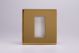 XDVG1S Varilight 1 Gang Data Grid Face Plate For 1 Data Module Width Screwless Polished Brass Coated