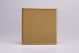 XDVSBS Varilight Single Blank Plate Screwless Polished Brass Coated