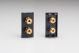 DSP2B Varilight Speaker Module in Black with 2 Binding Posts. Use with Varilight Data Grid Plates